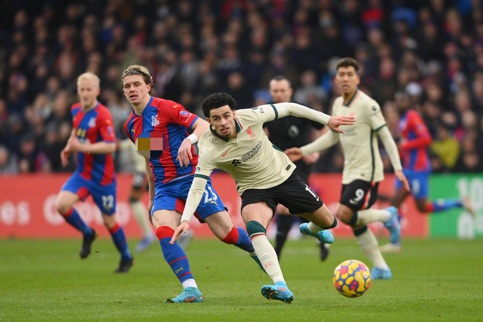 档和丢球的 档和丢球的